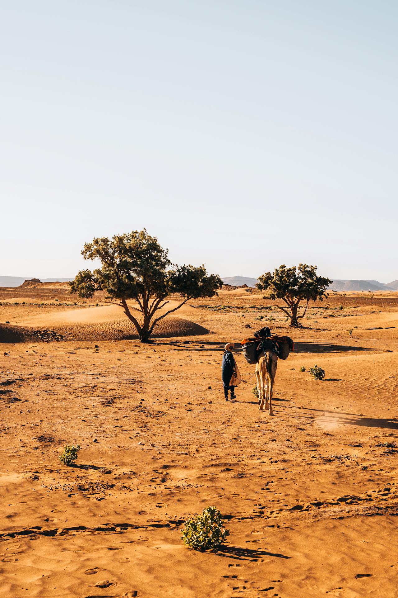 Désert Marocain